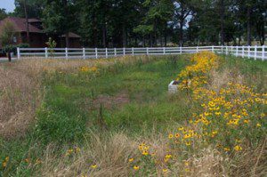 Black Rock 350 After 300x199