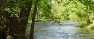 Green Valleys Watershed Association