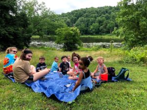 Picnic Dflies Group 300x225