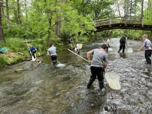 Crayfish Corp Valley Creek Spring 2024 300x225